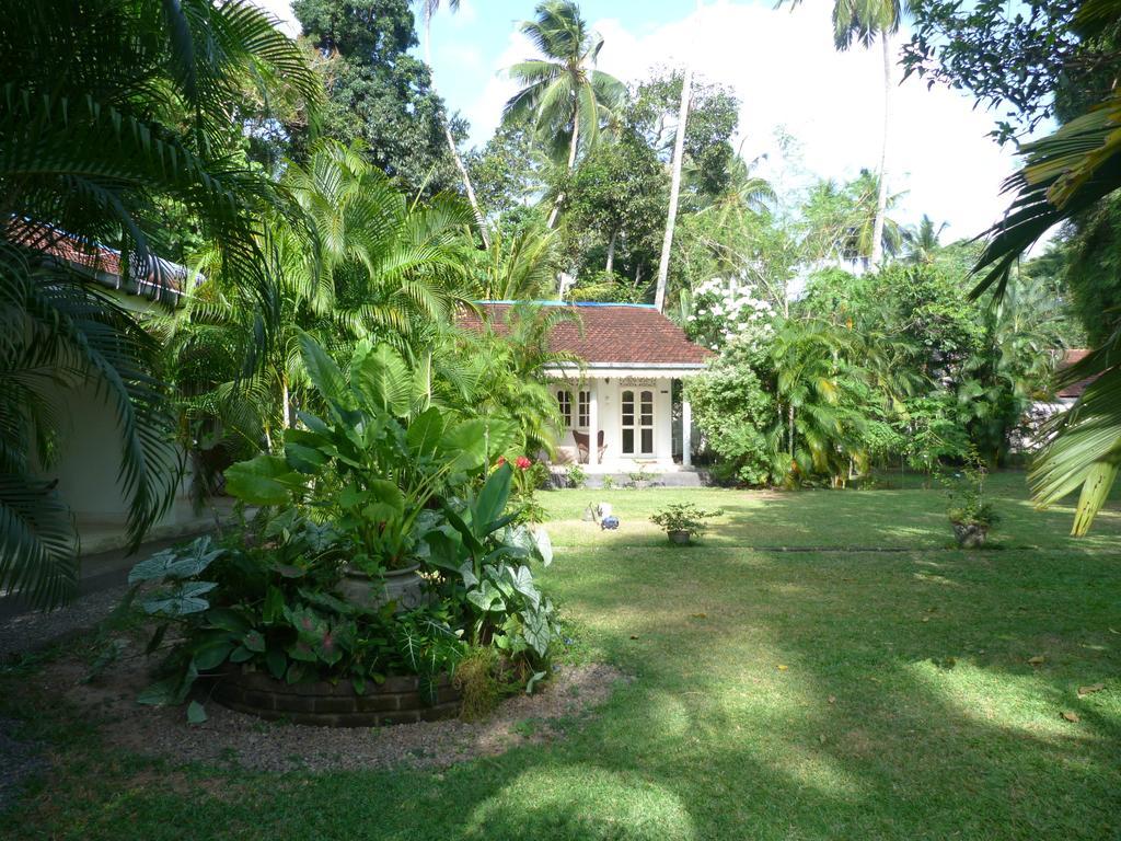 Fire Dragon Hideaway Hotel Negombo Ngoại thất bức ảnh