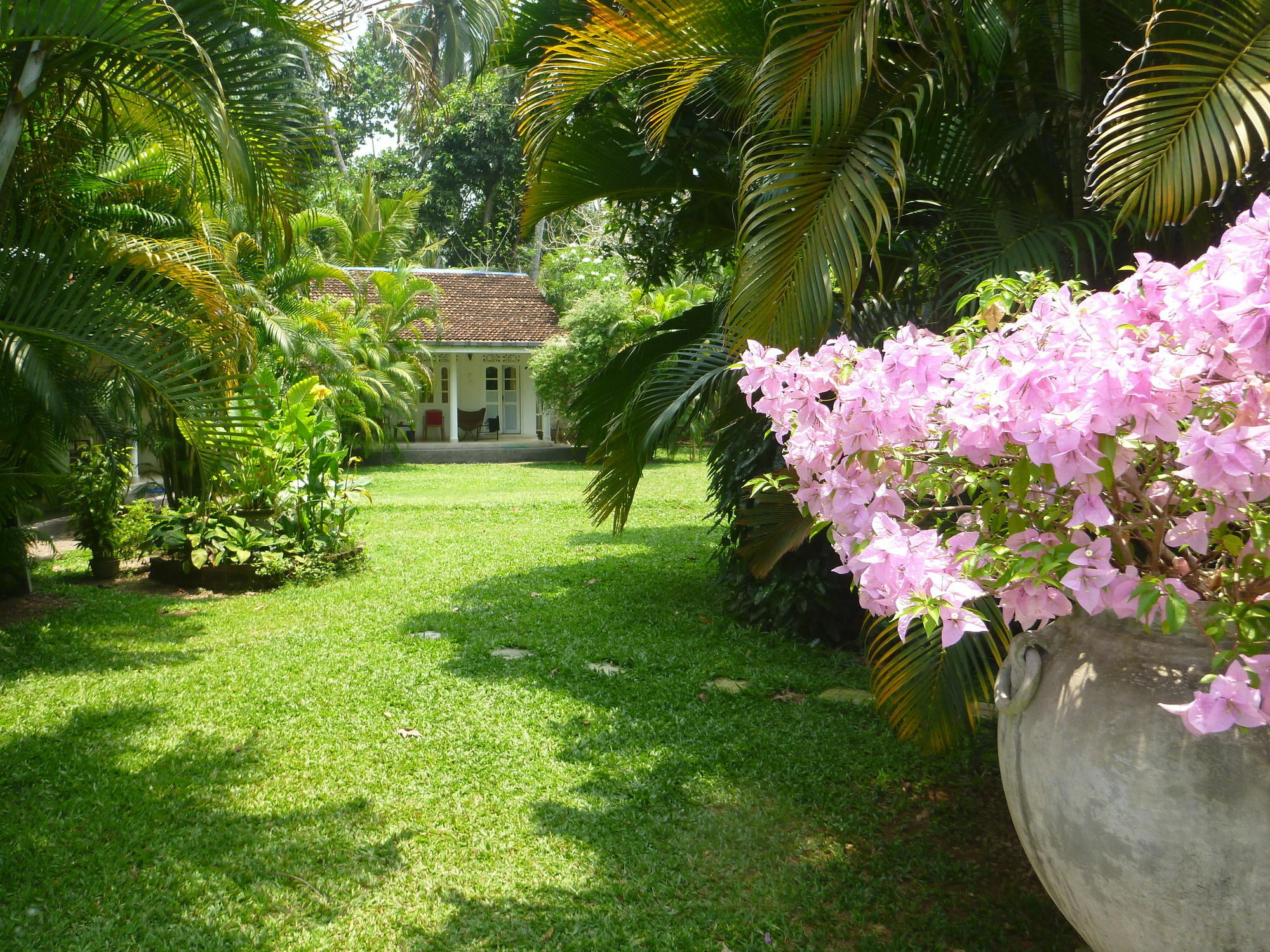 Fire Dragon Hideaway Hotel Negombo Ngoại thất bức ảnh